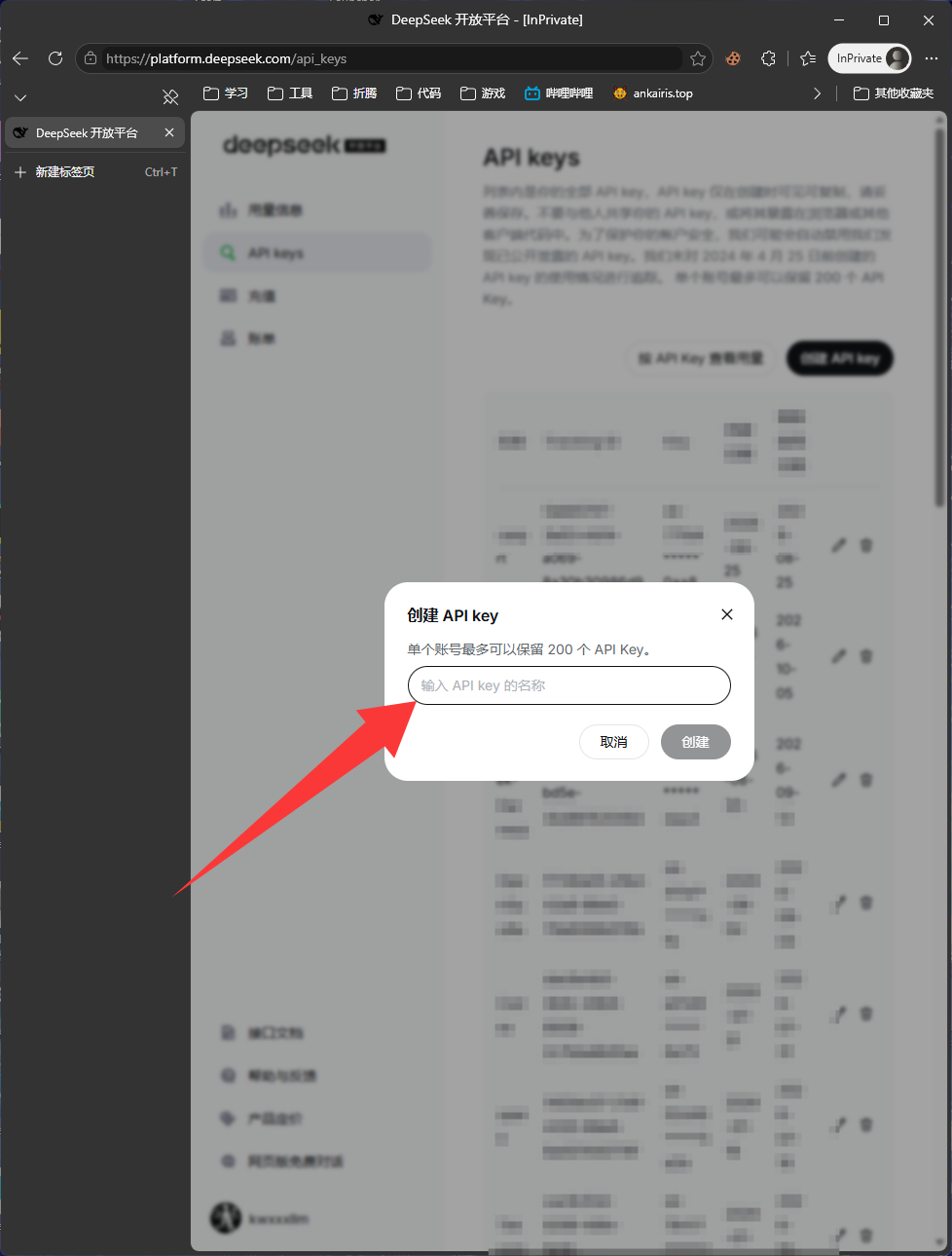 输入 API key 名称