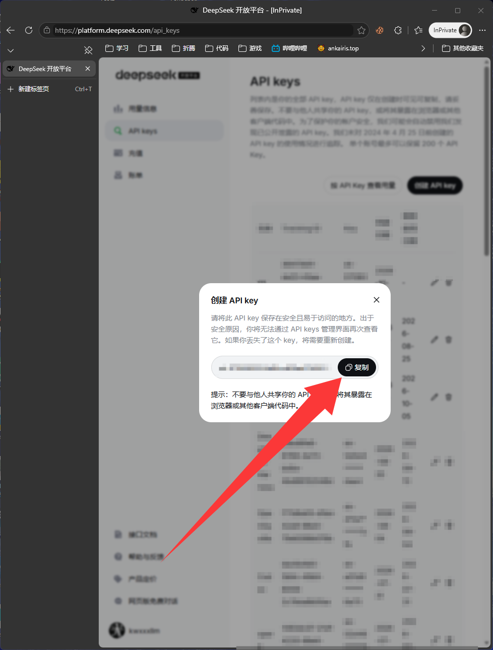 复制 API key