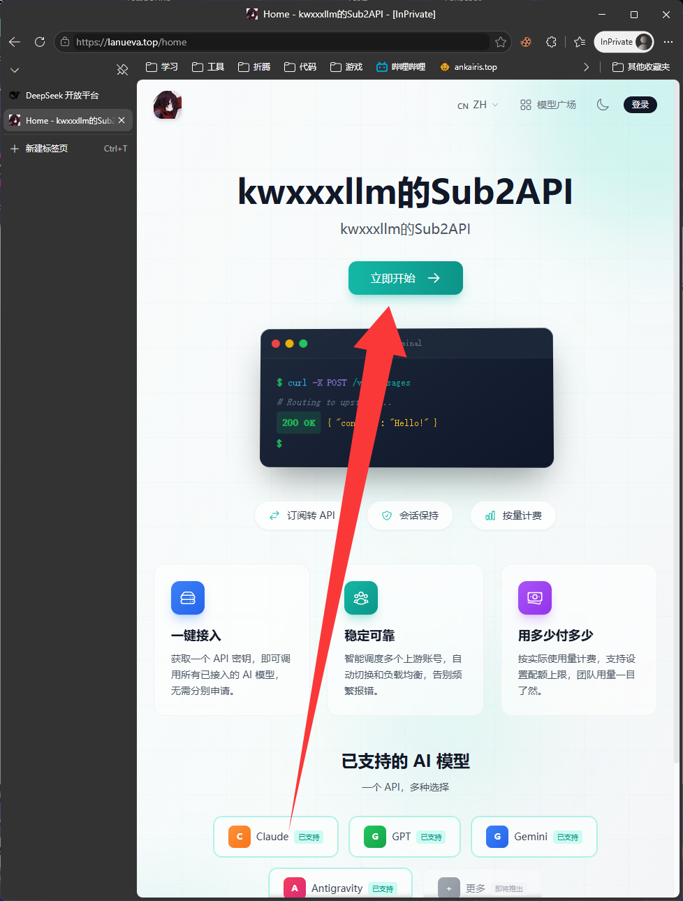 Sub2API 首页